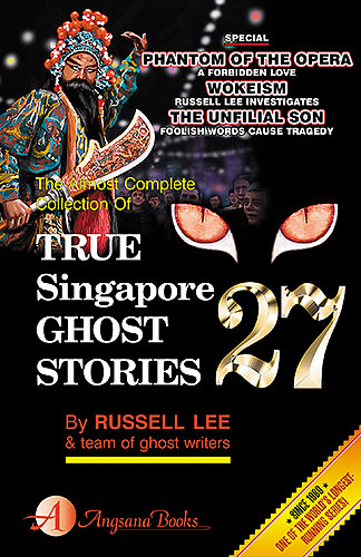 TRUE SINGAPORE GHOST STORIES Book 27